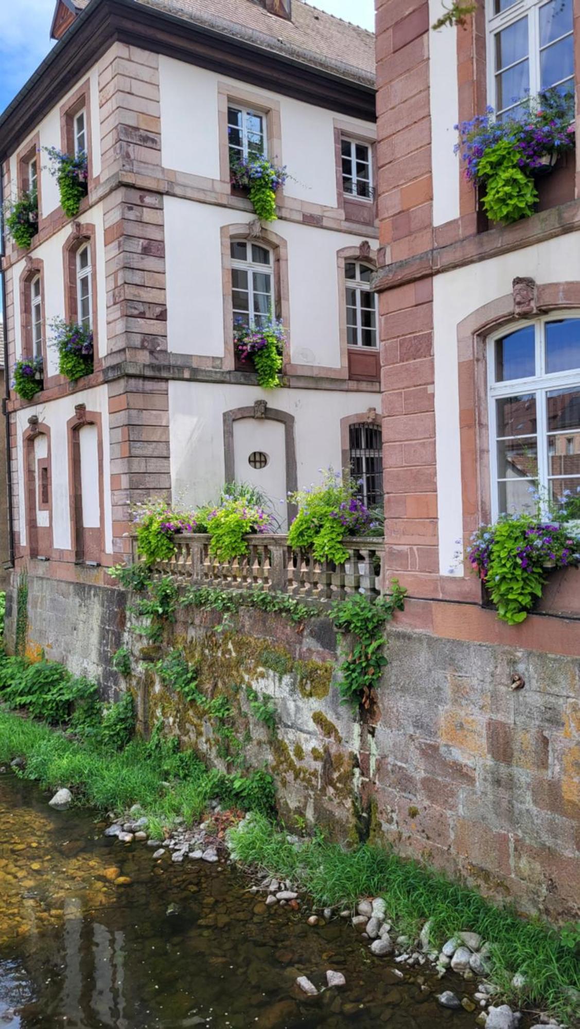 Gite Violette Et Pierrot Masevaux-Niederbruck Exterior photo