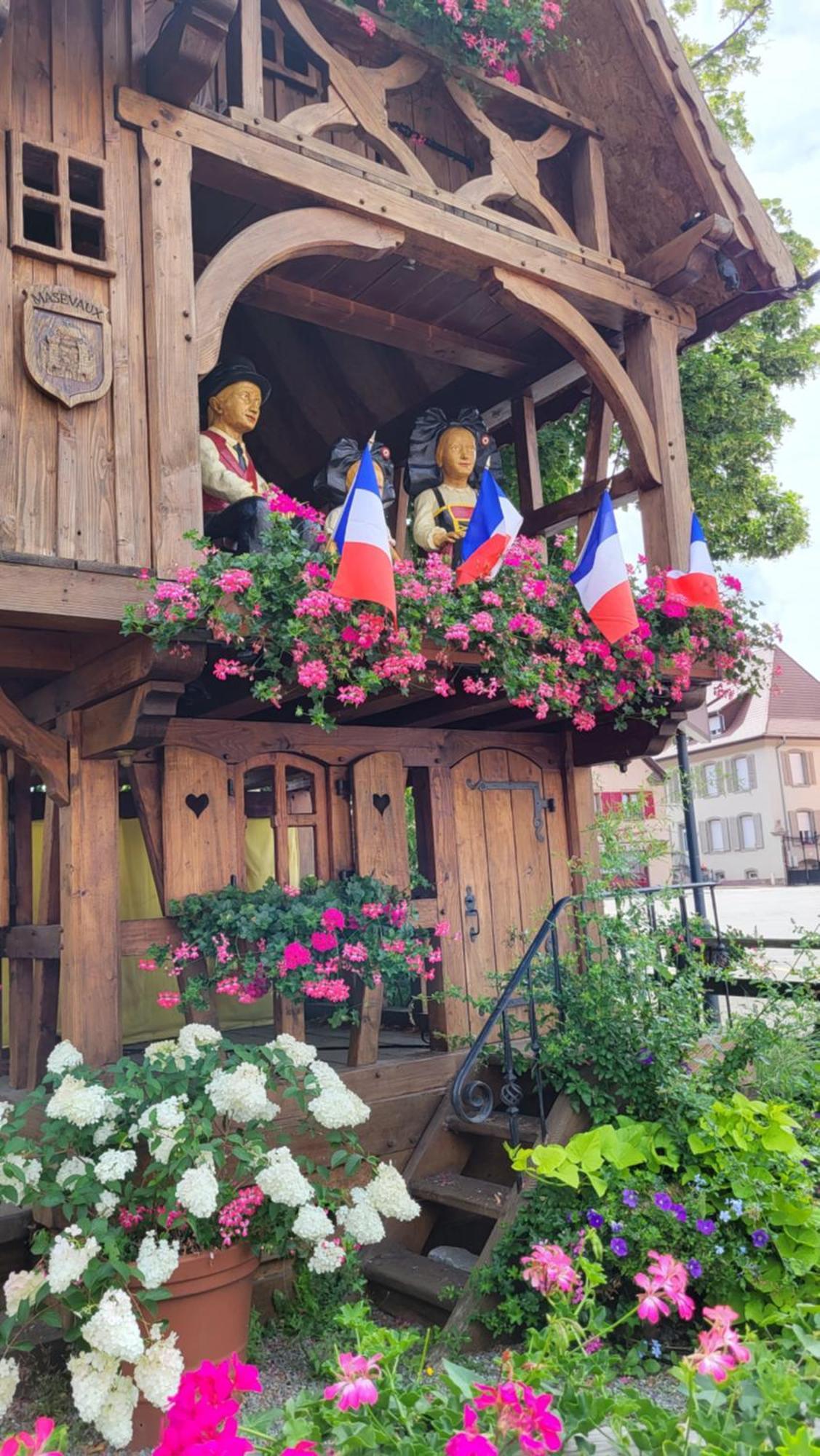 Gite Violette Et Pierrot Masevaux-Niederbruck Exterior photo