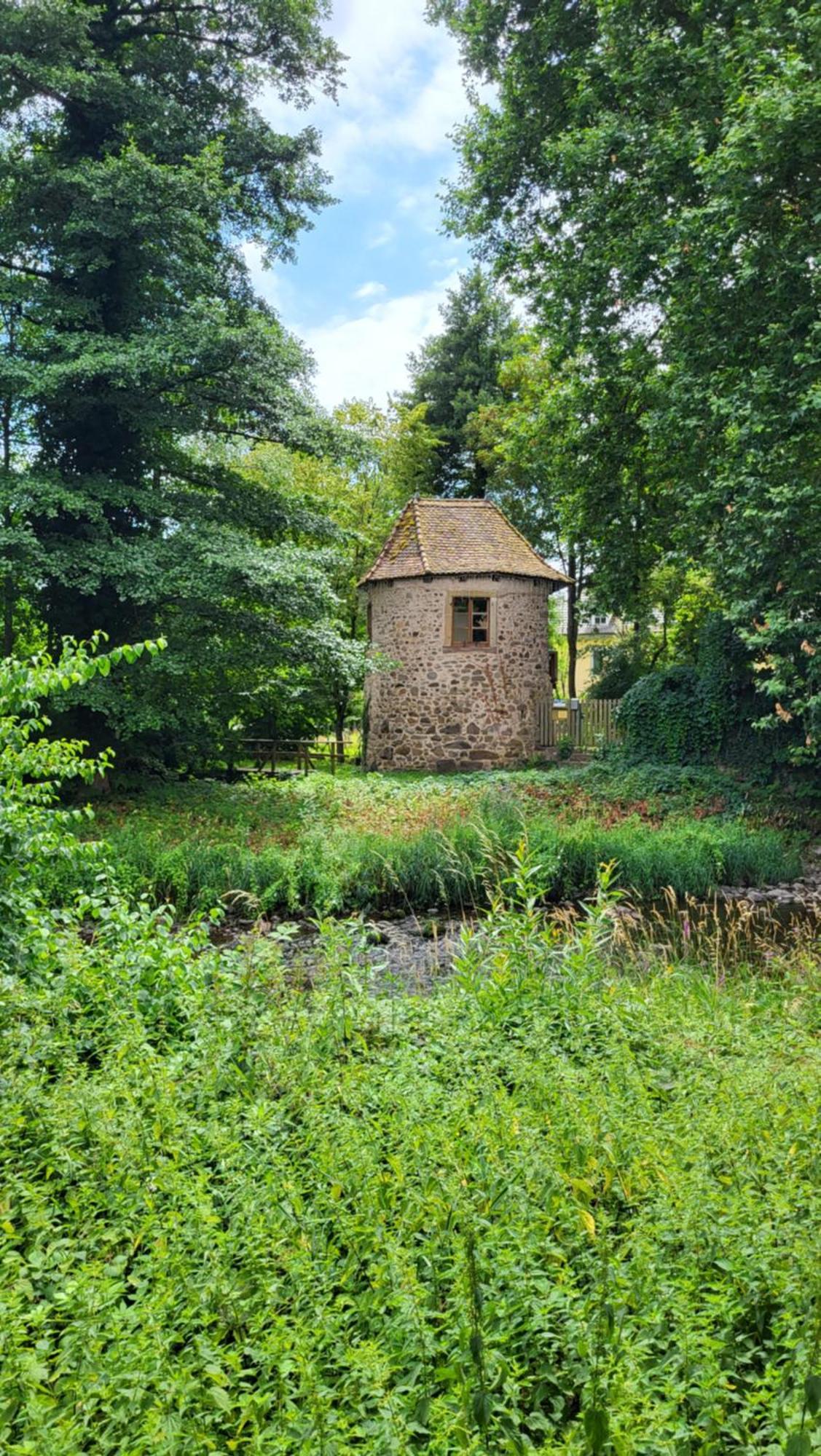 Gite Violette Et Pierrot Masevaux-Niederbruck Exterior photo